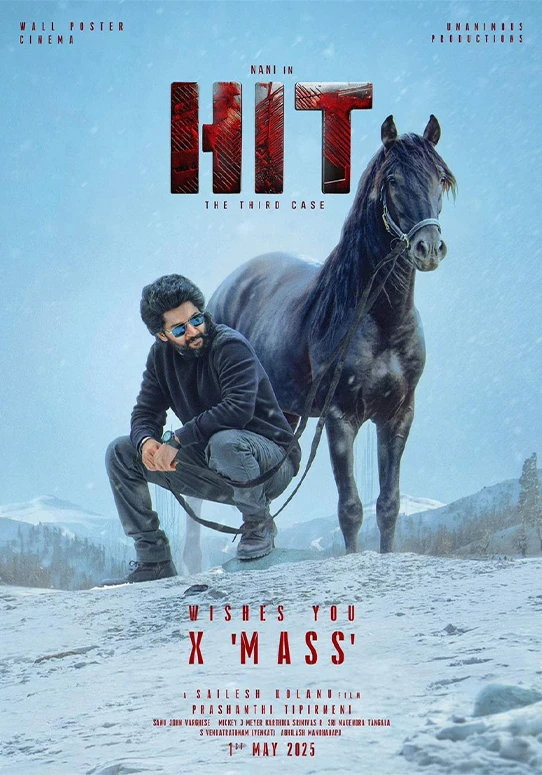HIT_ The 3rd Case-Movie-Poster-2025